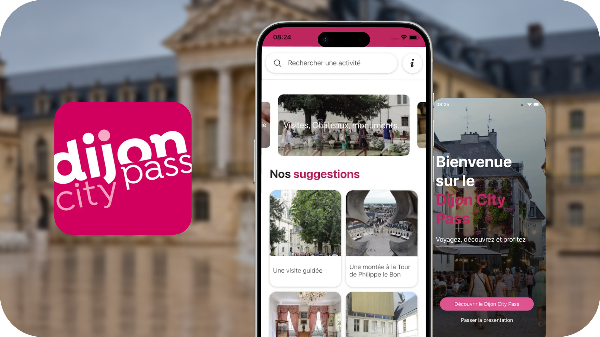 Dijon City Pass - Visit Dijon